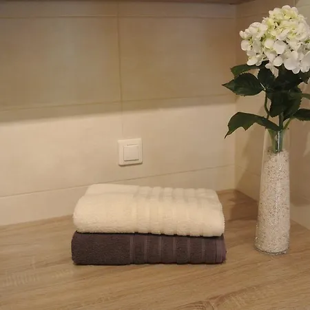 City House - Bianco דירה שצ'צ'ין