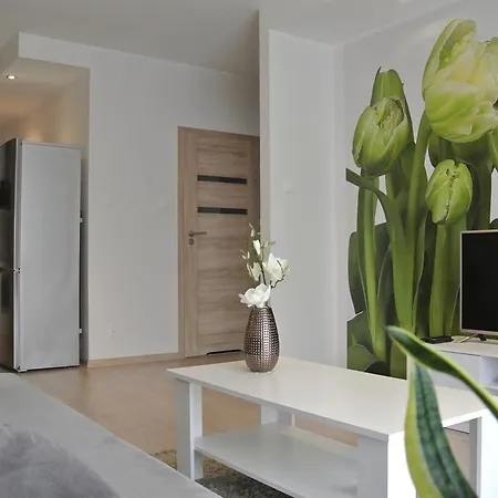 City House - Bianco דירה *